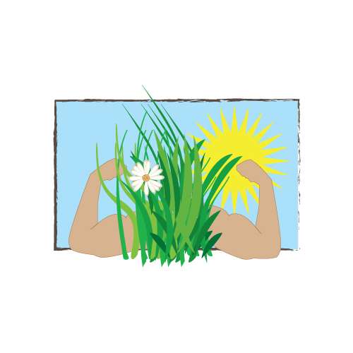 Fazit rund um den Handrasenmäher