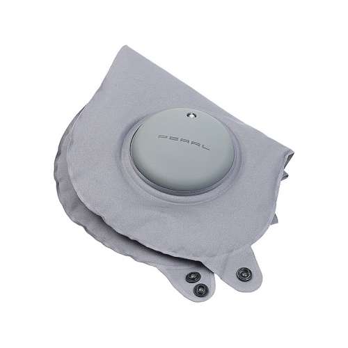 Reisenackenhörnchen von Pearl