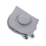 Reisenackenhörnchen von Pearl