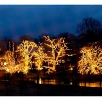 Best Season System LED 465-06 Lichterkette