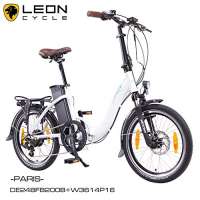  NCM Paris 20 Zoll E-Faltrad E-Bike