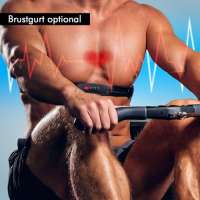 AsVIVA Rower Cardio XI Rudergerät