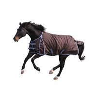 KERBL RugBe Winterdecke IceProtect 300 gr.