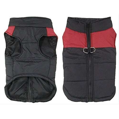 Hunderegenmäntel im Vergleich