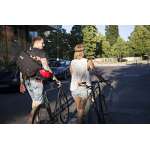 Kryptonite Kryptolok 2 Fahrradschloss