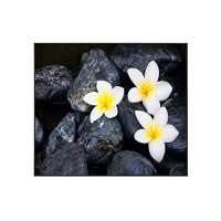 InfrarotPro Infrarotheizung