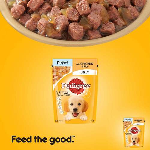 Hundewelpenfutter Test und Ratgeber