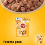 Hundewelpenfutter Test und Ratgeber