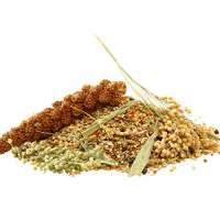 Dehner Best Nature Ziervogelfutter