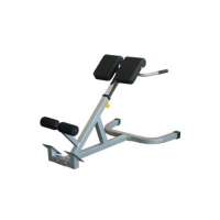 newfitness NE630 Rückentrainer