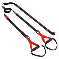 Rex Sport Functional Schlingentrainer