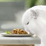 Gourmet Gold Feine Komposition Katzennassfutter