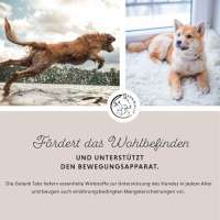 Annimally Gelenktabletten f&uuml;r Hunde mit Gr&uuml;nlippmuschel