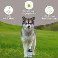 Bio Schwarzk&uuml;mmel&ouml;l f&uuml;r Hunde