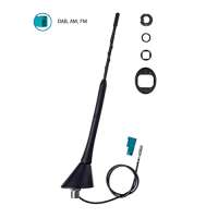 Antennentechnik Bad Blankenburg 2116.01 Flex-Dachantenne