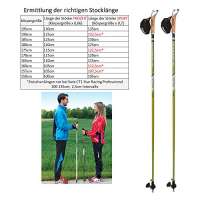 Swix CT4 Nordic Walking Stock Lime Composite Premium