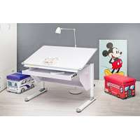 MSZ Variant Design Kinderschreibtisch