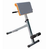 Bremshey Back Rückentrainer