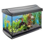 Aquarien Test und Vergleich