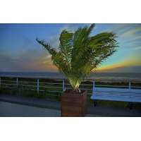 SLV Nautilus LED 304S Solarleuchte