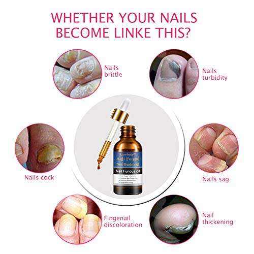 Dörrautomaten FA-5126-4 von TZS First Austria