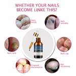 Dörrautomaten FA-5126-4 von TZS First Austria