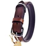 Schn&uuml;ffelfreunde Hundehalsband