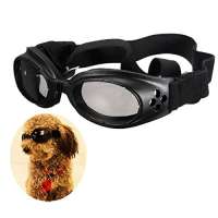 FOCUSPET Goggles Hundebrille