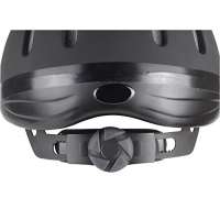 Kerbl Reithelm Carbonic