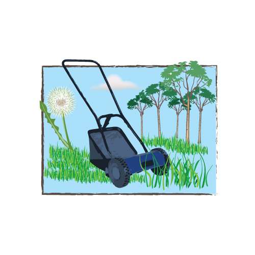 Was Sie über Handrasenmäher wissen sollten