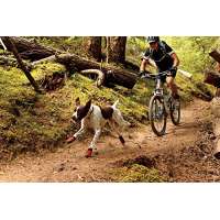 Ruffwear Bark'n Boots GripTrex Hundeschuhe