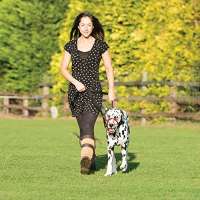 Halti Halfter Hundemaulkorb