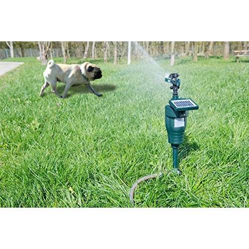 Royal Gardineer Wasserstrahl-Tierschreck von Pearl