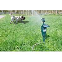 Royal Gardineer Wasserstrahl-Tierschreck von Pearl