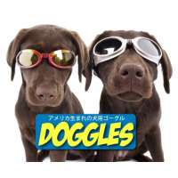 Doggles Racing Flames Hundebrille