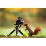 Tischstativ "Compact Traveler Mini M “ von Rollei