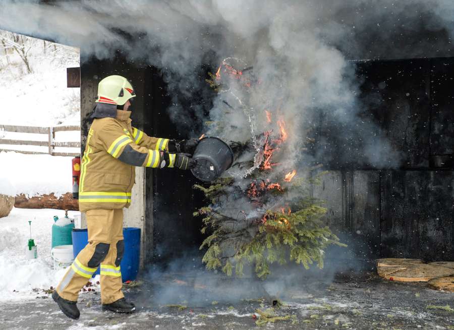 Tannenbaum Brand