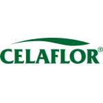 Celaflor