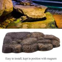 FTVOGUE Schildkröte