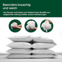 Hanskruchen 975.55.001 Premium de Luxe Daunendecke