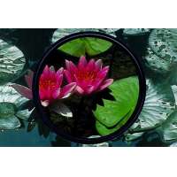 Heliopan SH PMC Polfilter