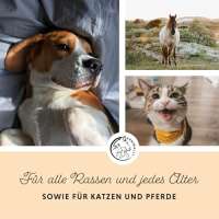 Annimally Lachsöl für Hunde 1 Liter reich an Omega 3 & 6 Fettsäur