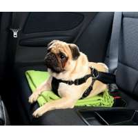 infactory Hundegeschirr