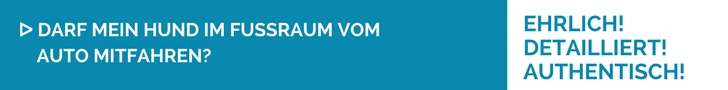 Darf mein Hund im Fußraum des Autos mitfahren?
