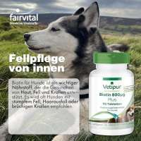 Vetipur Biotin für Hunde