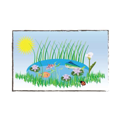 was Sie über Teichfilter wissen sollten