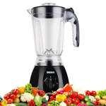 Haehne HN-3366 2-in-1 Standmixer