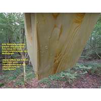 Cygon Wildvogel Nistkasten