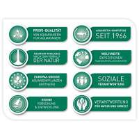 Dennerle 5699 Nano ThermoCompact Aquarium Heizer