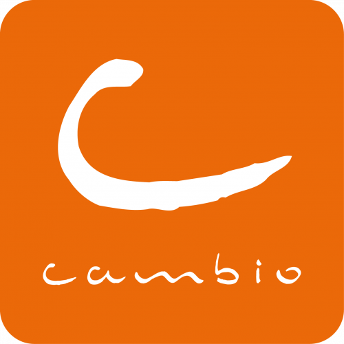 Cambio Logo